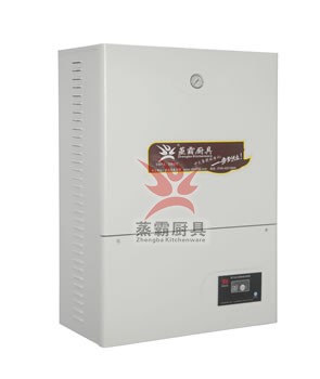 掛墻式電能蒸汽爐